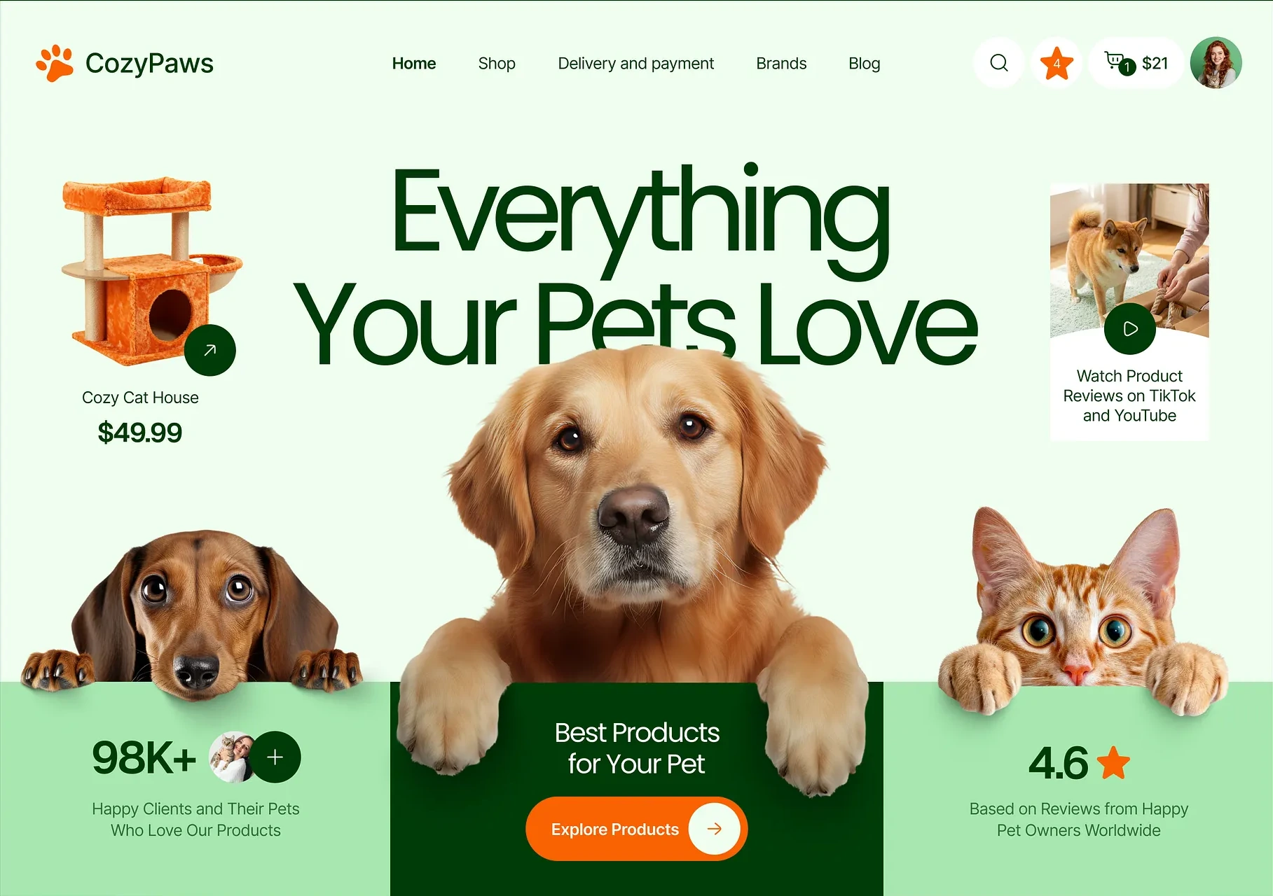 Website design showcase preview